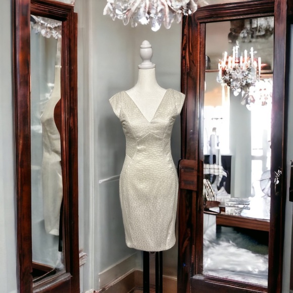 BHLDN Yoana Baraschi Metallic White Mini Dress - Picture 4 of 6